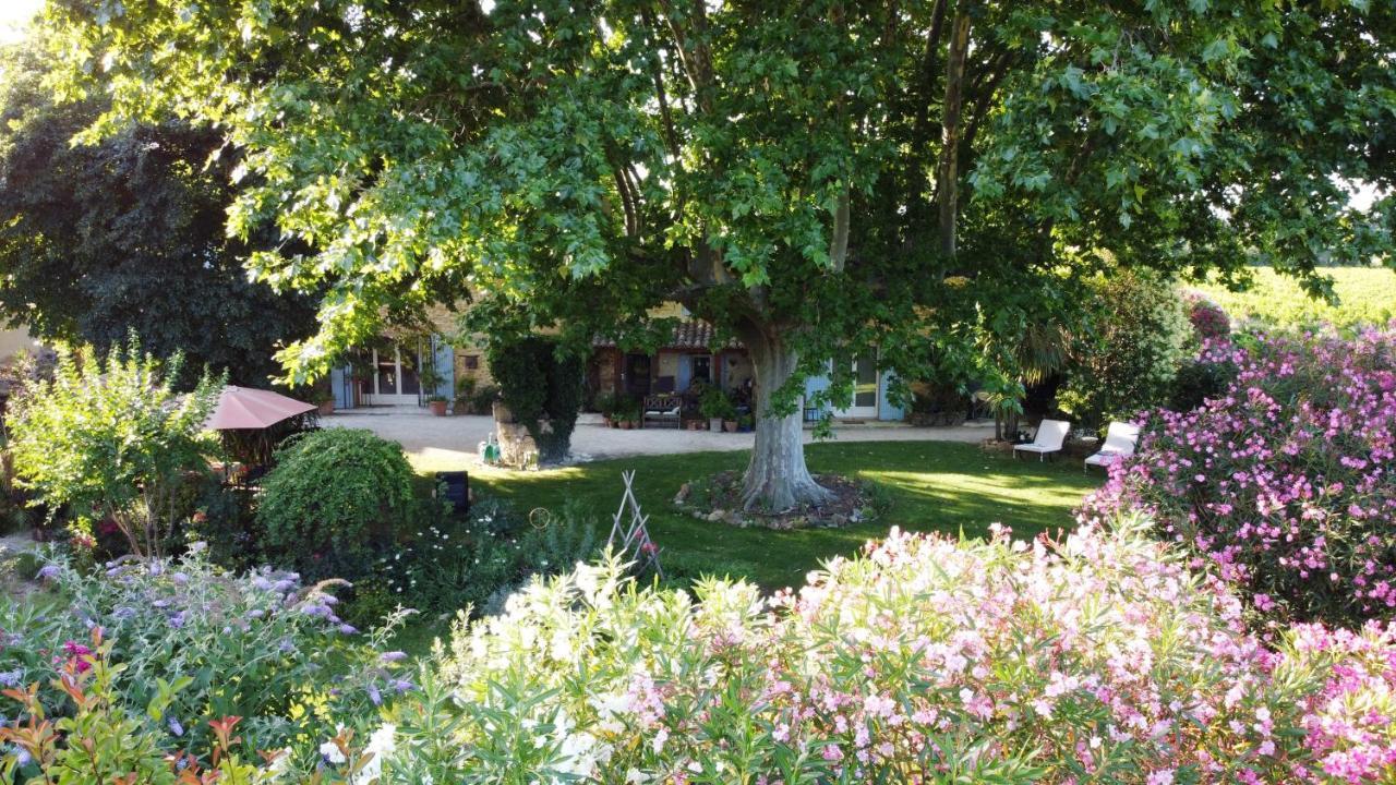 Mas Du Clos De L'Escarrat Jonquieres  Luaran gambar
