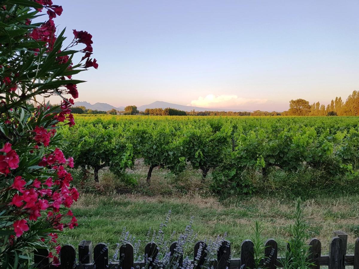Mas Du Clos De L'Escarrat Jonquieres  Luaran gambar