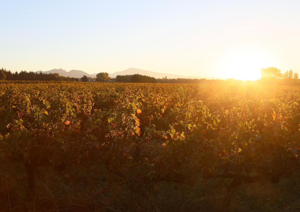 Mas Du Clos De L'Escarrat Jonquieres  Luaran gambar