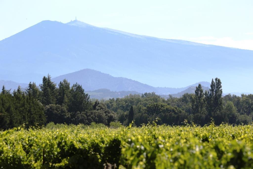 Mas Du Clos De L'Escarrat Jonquieres  Luaran gambar