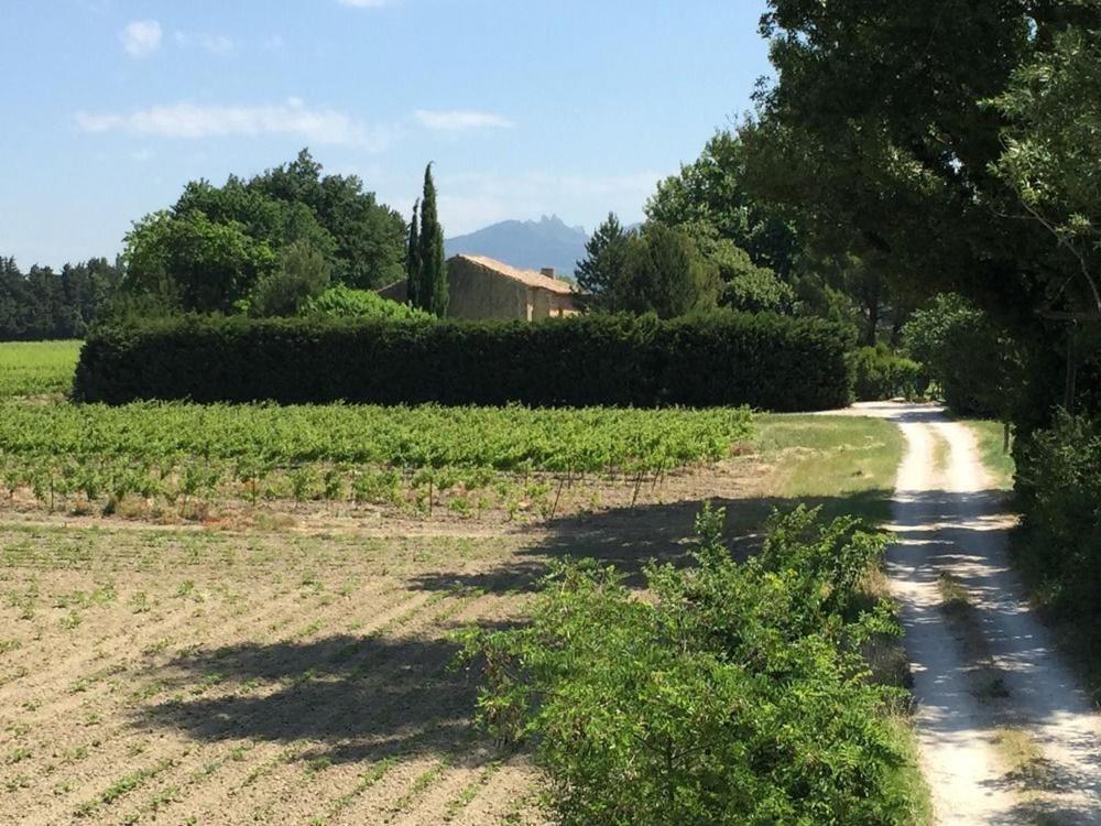Mas Du Clos De L'Escarrat Jonquieres  Luaran gambar